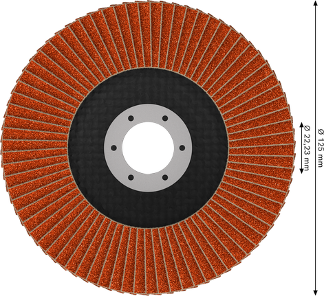 Lamelový kotouč Bosch EXPERT X782, úhlový, 125 mm, G120.